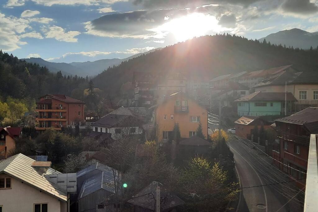 Apartament Erika Premium Синая Екстериор снимка