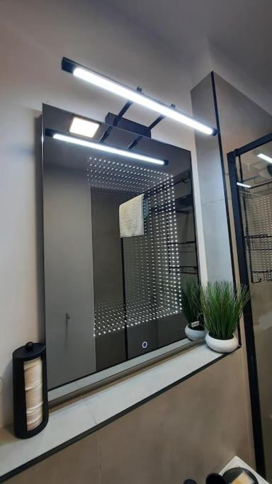Apartament Erika Premium Синая Екстериор снимка